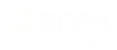 apex logo